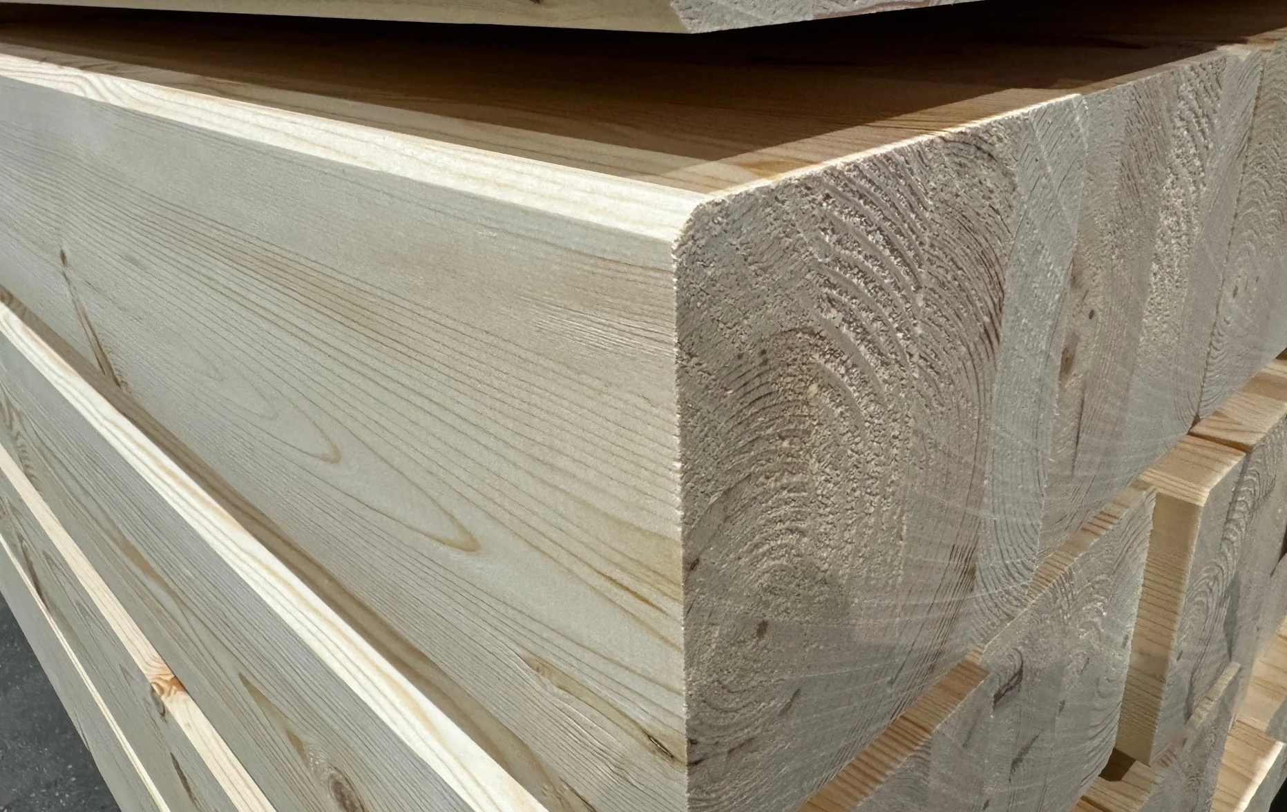 SilvaPost and Beam Raw